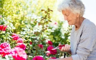 Senior woman gardening