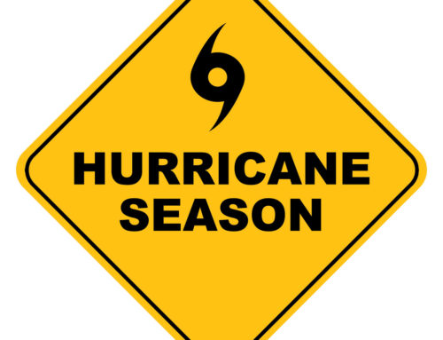 5 Key Things Florida Seniors Should Do for Hurricane Preparation